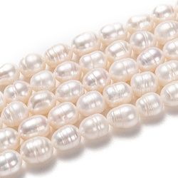 Natural Cultured Freshwater Pearl Beads Strands, Rice, Bisque, 10~11x8~9mm, Hole: 0.7mm, about 34pcs/strand, 14.17 inch(36cm)(PEAR-L033-81-01)