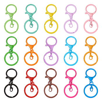 Pandahall 30Pcs 15 Colors Spray Painted Iron Key Rings, with Alloy Lobster Claw Clasps, Keychain Clasp Findings, Mixed Color, 66mm, 2pcs/color