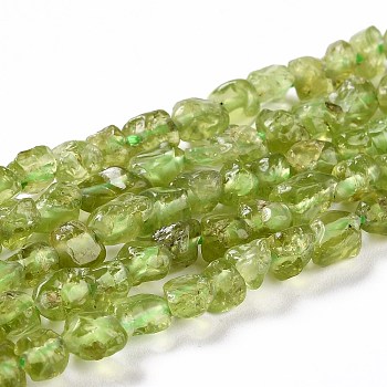 Natural Peridot Beads Strands, Chip, 5~8x5x4~5mm, Hole: 0.8mm, about 67pcs/Strand, 15.75 inch(40cm)