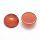 Natural Carnelian Cabochons(G-P393-R18-10mm)-2