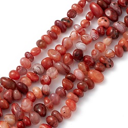Natural Dyed Red Agate Nuggets Beads Strands, 6~8.5x8~15.5x6~8.5mm, Hole: 1mm, about 57~60pcs/strand, 15.75~16.14''(40~41cm)(G-J337-03A)
