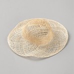Doll Straw Hat, Mini Hand Knitting Hat, for DIY Crafts Jewelry Accessories Craft Decoration, Wheat, 100x33mm, Inner Diameter: 47mm(DIY-WH20062-69A)