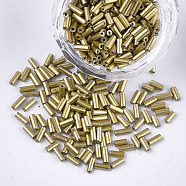 Electroplate Glass Bugle Beads, Round Hole, Metallic Colours, Gold, 3~5x1.5~2mm, Hole: 0.8mm, about 15000pcs/bag(SEED-S029-02B-04)