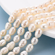 Natural Cultured Freshwater Pearl Beads Strands, Rice, Seashell Color, 7~9x6~7mm, Hole: 0.5mm, about 22~23pcs/strand, 7.09''(18cm)(PEAR-S012-41E)