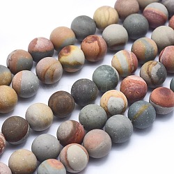 Natural America Picture Jasper Beads Strands, Frosted, Round, 10mm, Hole: 1mm, about 40pcs/strand, 15.7 inches(40cm)(G-I213-20-10mm)