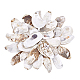 30Pcs 3 Styles Oyster Shell(DIY-PH0029-34)-7