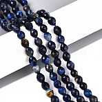 Natural Dyed Tiger Eye Beads Strands, Barrel, Faceted, Marine Blue, 5.5~6.5x5~5.5mm, Hole: 1~1.2mm, about 57~61pcs/strand, 13.98~14.17''(35.5~36cm)(G-T142-87B)
