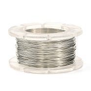 Round Copper Craft Wire, for Jewelry Making, Long-Lasting Plated, Platinum, 26 Gauge, 0.4mm, about 65.61 Feet(20m)/roll(CWIR-C001-01A-09)