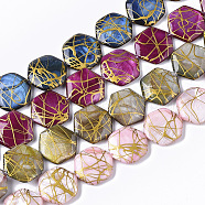 Drawbench Freshwater Shell Beads Strands, Dyed, Hexagon, Mixed Color, 18~20x17.5~18.5x3.5~5.5mm, Hole: 1mm, about 21pcs/Strand, 15.16 inch~15.98 inch(SHEL-T014-013)