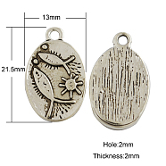 Tibetan Style Pendants, Oval with Fish and Sun, Cadmium Free & Nickel Free & Lead Free, Antique Silver, 21.5x13x2mm, Hole: 2mm(TIBEP-GC023-AS-NR)