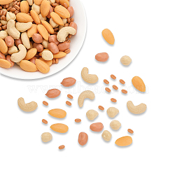150G 5 Style Opaque Resin Imitation Nuts Ornaments, Simulation Food, for Home Decor, Almond/Wheat/Peanuts/Hazelnuts/Cashew, Mixed Color, 7~23x3.5~13x3~11.5mm, 30g/style(RESI-CA0001-43)