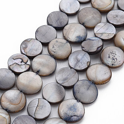 "Natural Freshwater Shell Beads, for DIY Craft Jewelry Making, Flat Round, Gray, Size: 10mm in diameter, 3.2mm thick, hole: 1mm, 40pcs/strand, 16""
"(X-S00C20J8)