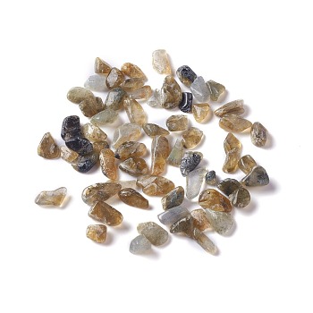 Natural Labradorite Chip Beads, No Hole/Undrilled, 2~12x2~10x1~3mm, about 11200pcs/1000g