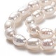 Natural Cultured Freshwater Pearl Beads Strands(PEAR-L033-65)-2