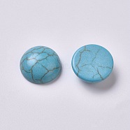 Synthetic Turquoise Cabochons, Half Round, 14mm(G-TAC0001-01H)