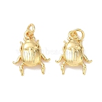 Insect Brass Charms, Real 18K Gold Plated, 14x11x3mm, Hole: 2.5mm(KK-E797-06G)