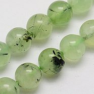 Natural Prehnite Beads Strands, Round, Pale Green, 10mm, Hole: 1mm(G-G457-10mm-03)