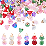 108Pcs 6 Styles Imitation Jade & Transparent Spray Painted Glass Charms, with Light Gold Plated Brass Findings, Seedpod of the Lotus, Mixed Color, 11x11mm, Hole: 2mm, 18pcs/style(GLAA-CA0001-39)