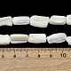 Natural Trochid Shell/Trochus Shell Beads Strands(SH-CBA2978-20A)-4