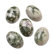 Natural Peace Jade Cabochons, Oval, 18x13x5~5.5mm(G-C115-01A-41)