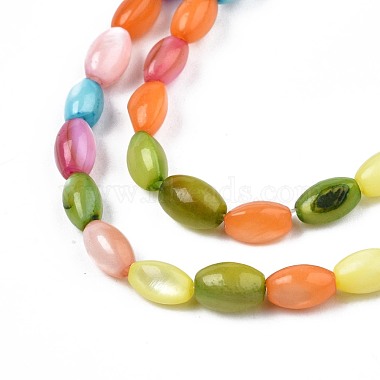 Chapelets de perles en coquille d'eau douce (SHEL-T009-B15-06)-3
