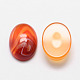 Oval Natural Carnelian Cabochons(G-K020-18x13mm-05)-1