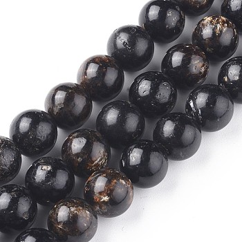 Natural Biotite Beads Strands, Round, Black, 12mm, Hole: 1.2mm, about 34pcs/Strand, 16.14 inch(41cm)