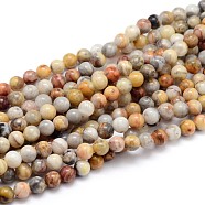 Natural Gemstone Round Bead Strands, Crazy Lace Agate, 8mm, Hole: 1mm, about 50pcs/strand, 16 inch(G-J303-10-8mm)