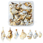 28Pcs 7 Style Acrylic Pendants, Imitation Gemstone Style, Conch Shell & Spiral Shell, Mixed Color, 19.5~44.5x12~25x10~16mm, Hole: 1.5~1.8mm, 4pcs/style(OACR-FS0001-17)