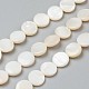 Perles de coquillages naturels d'eau douce(X-BSHE-I011-01D-02)-1