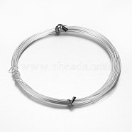 Round Aluminum Wire, Bendable Metal Craft Wire, for Beading Jewelry Craft Making, Silver, 20 Gauge, 0.8mm, about 32.8 Feet(10m)/roll(X-AW-D009-0.8mm-10m-01)