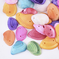 Sea Shell Links, Dyed, Mixed Color, 23~40x17~30x7~13mm, Hole: 1.5mm, about 230pcs/500g(SSHEL-T008-32)