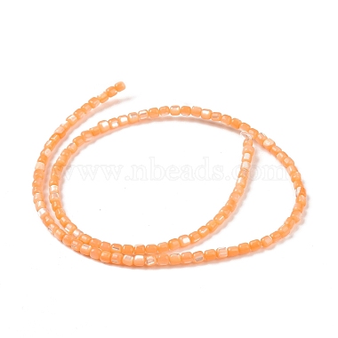Natural Trochus Shell Beads Strands(SSHEL-H070-02D)-3