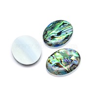 Paua Shell Oval Cabochons, Colorful, 24.5~25x19~19.5x3.5~4mm(SSHEL-E553-18B)