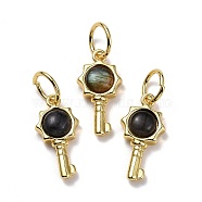 Natural Larvikite Pendants, with Golden Brass Findings, Key, 20x10x4mm, Hole: 6.2mm(G-F712-02A-G)