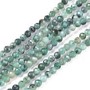 Natural Emerald Quartz Beads Strands, Round, Faceted, 2mm, Hole: 0.5mm, about 170~210pcs/strand, 15.16~15.94 inch(38.5~40.5cm)(G-R475-022A)