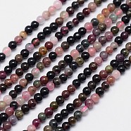 Natural Tourmaline Round Bead Strands, 3mm, Hole: 0.6~0.8mm, about 141pcs/strand, 15.5 inch(G-I162-01-3mm)