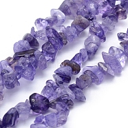 Natural Amethyst Beads Strands, Dyed, Chip, 5~8mm, Hole: 1mm, about 31.9 inch(81cm)(G-P332-06)