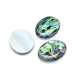 Paua Shell Oval Cabochons, Colorful, 24.5~25x19~19.5x3.5~4mm(SSHEL-E553-18B)