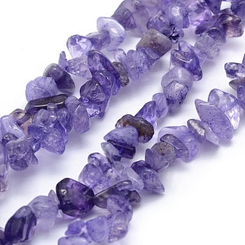 Natural Amethyst Beads Strands, Dyed, Chip, 5~8mm, Hole: 1mm, about 31.9 inch(81cm)