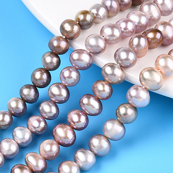 Natural Cultured Freshwater Pearl Beads Strands, Potato, Plum, 6.5~7.5mm, Hole: 0.6mm, about 55~56pcs/strand, 14.57~14.76 inch(37~37.5cm)