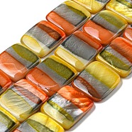 Spray Painted Natural Freshwater Shell Beads Strands, Square, Colorful, 18x18.5x3~4mm, Hole: 0.9mm, about 22pcs/strand, 15.79 inch(40.1cm)(BSHE-G034-28)