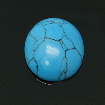 Oval Synthetic Turquoise Cabochons, Dyed, 14x10x4.5mm