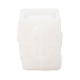 DIY-Silikonkamera(SL-T001-02)-5