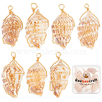 10Pcs Natural Conch Shell Big Pendants, Real 18K Gold Plated Eco-Friendly Copper Wire Wrapped Shell Charms, Bisque, 51.5~54.5x26~27.5x20~21.5mm, Hole: 3.6mm(FIND-BBC0003-11)