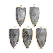 Natural Labradorite Pendants, with Brass Findings, Faceted, Shield, Golden, 32~33x15x6mm, Hole: 1.5mm(G-S344-26)