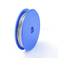 Round Copper Craft Wire, for Jewelry Making, Silver, 0.6mm, about 30m/roll(CWIR-E004-0.6mm-S)
