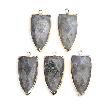 Natural Labradorite Pendants, with Brass Findings, Faceted, Shield, Golden, 32~33x15x6mm, Hole: 1.5mm