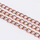 Iron Side Twisted Chain(CH-S085-R-FF)-1