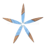 Opaque Resin & Walnut Wood Pendants, Horse Eye, Cornflower Blue, 43x7x3mm, Hole: 1.6mm(RESI-S389-015A-C01)